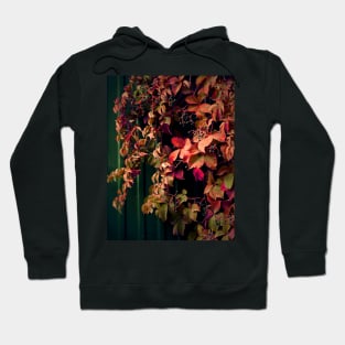 Nature plants photography Hoodie